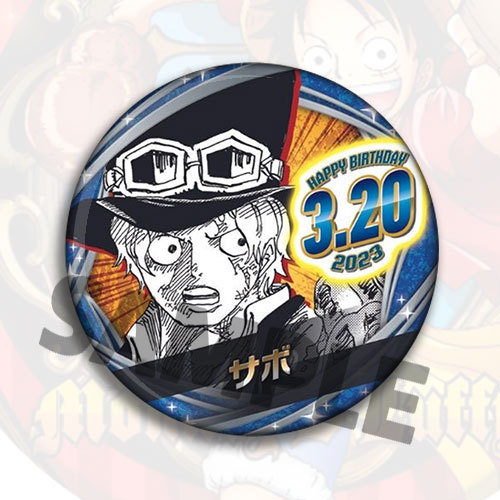 Een Stuk Anime Badge Pin Broch - Anime Merchandise In Chinese recensie en prijs