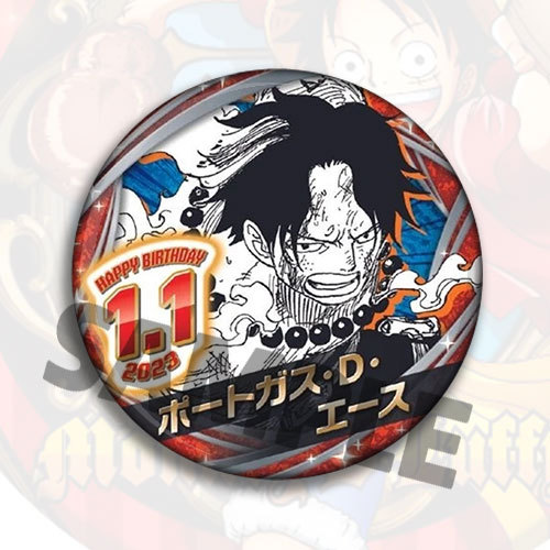Een Stuk Anime Badge Pin Broch - Anime Merchandise In Chinese recensie en prijs